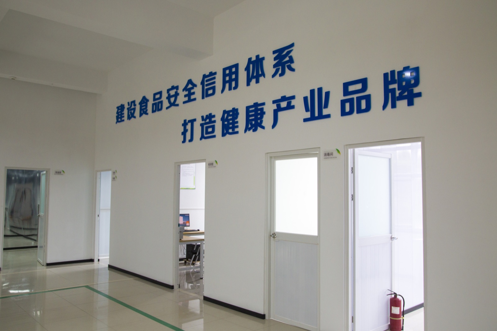 公司环境